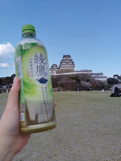 カジペーアプリのミーティング内容