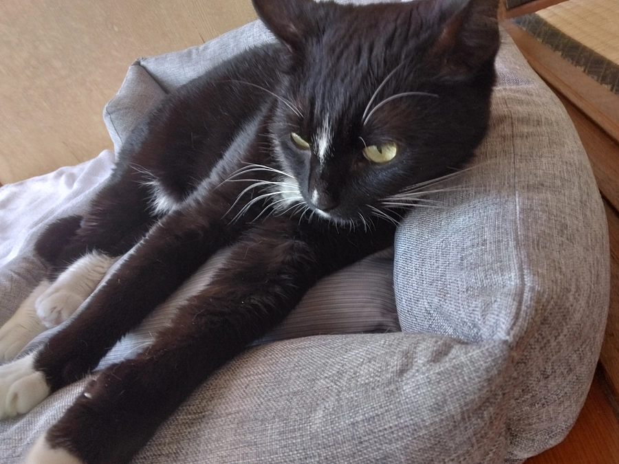 6/28はなちゃんの様子