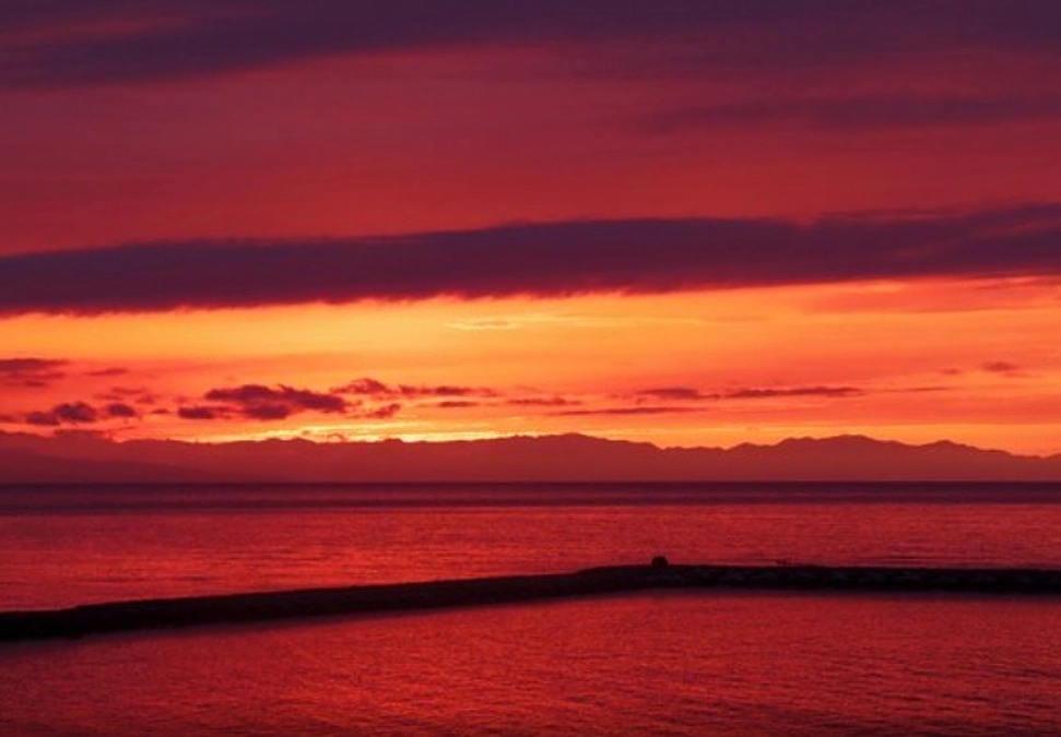 募集期間が終了いたしました！