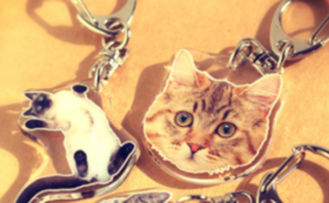 保護猫の写真入りキーホルダー