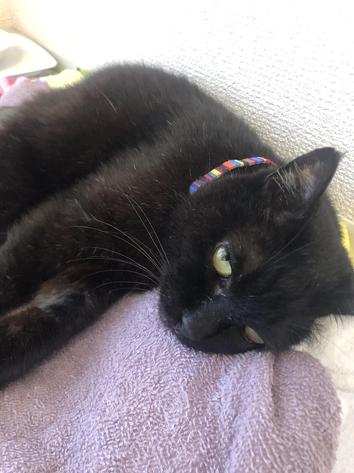 あと18日になりました( ﾉД`)