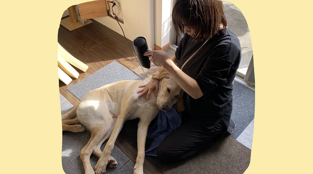 育成レポート３「施設ボランティアについて」