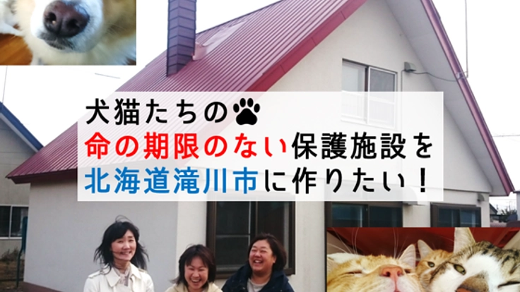 犬猫たちの命の期限のない保護施設を北海道滝川市に作りたい！