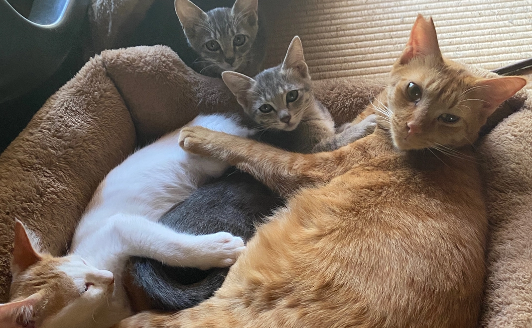 10000円ご支援、感謝のメッセージ