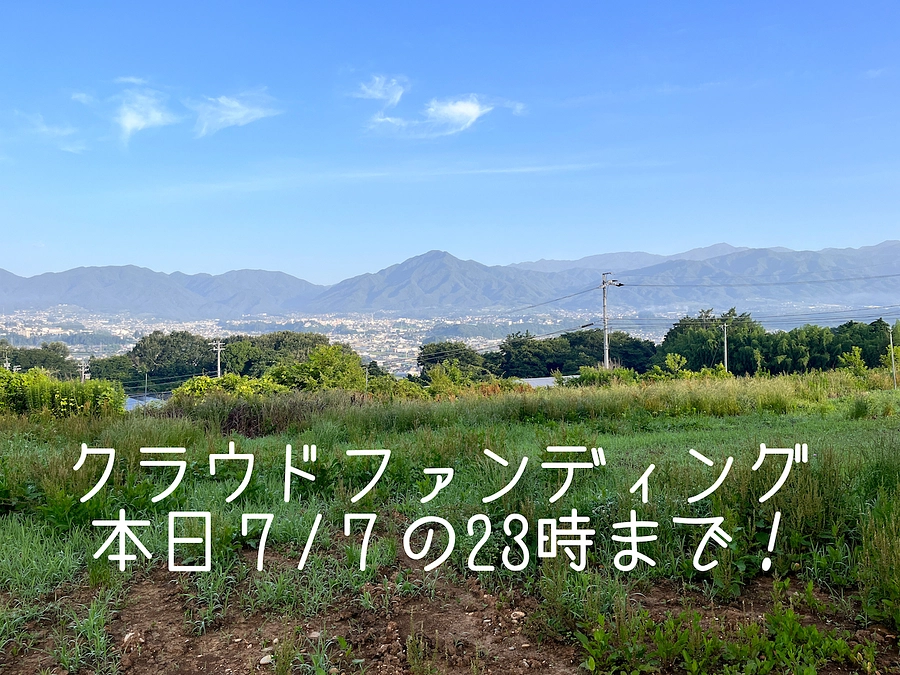 本日23時までです！最終日よろしくお願いします！