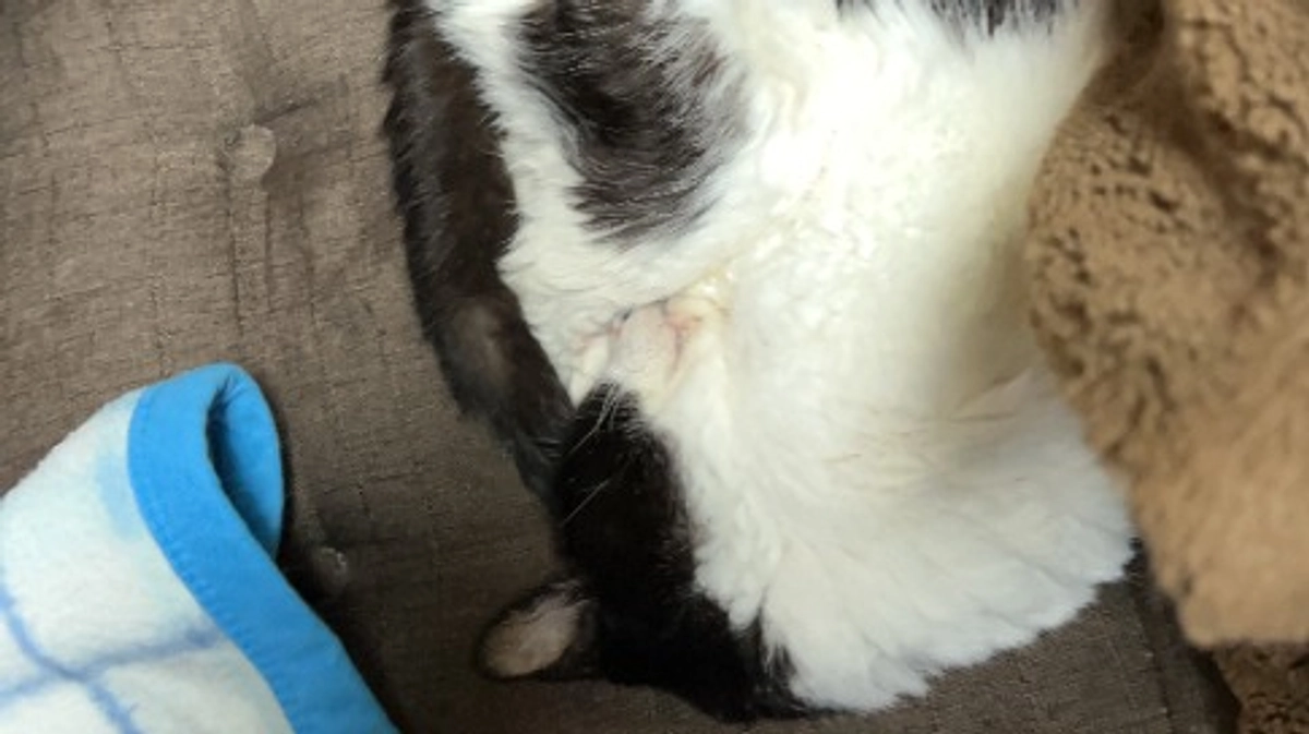 増血ホルモン剤の注射