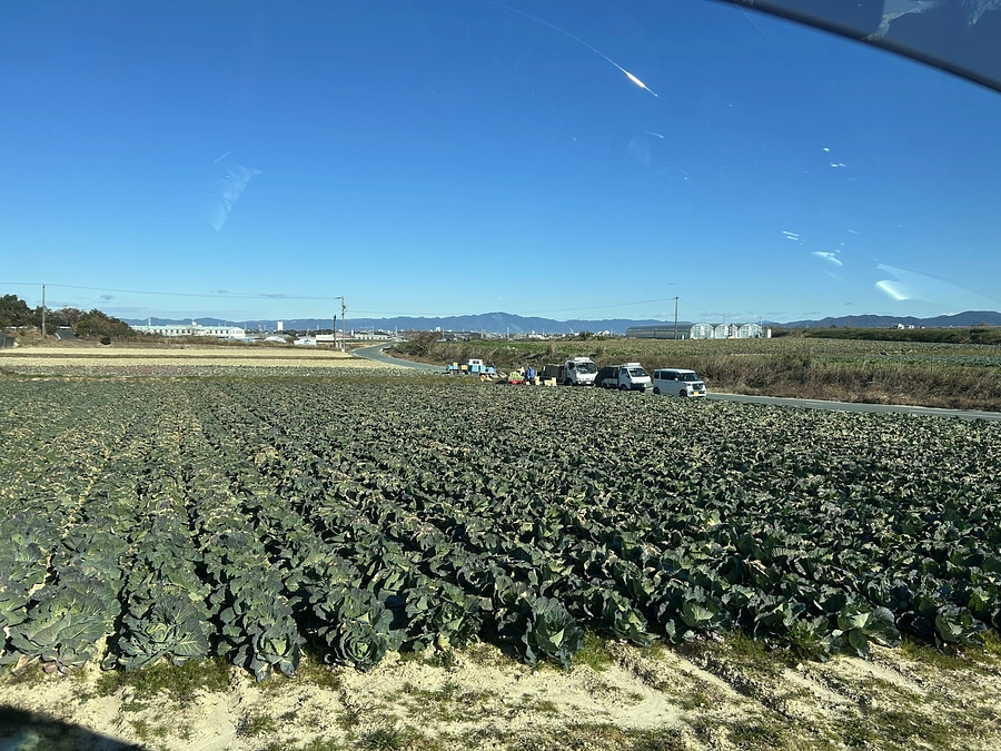 BALL PARK17の予定地の確認！