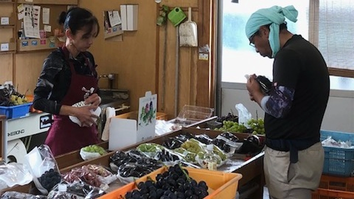 ブドウの直売所もまだまだ開店中です!