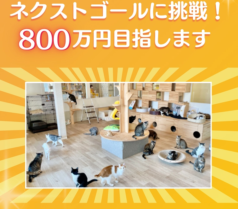 【残り7日】ネクストゴール達成を目指して！インスタライブでシェルターの様子配信中です。