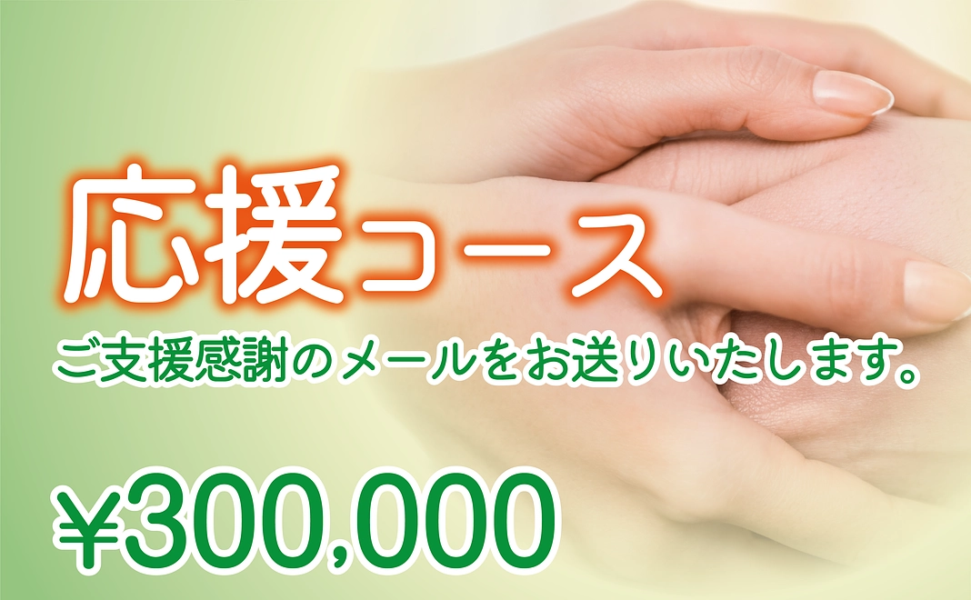 300,000円｜応援コース