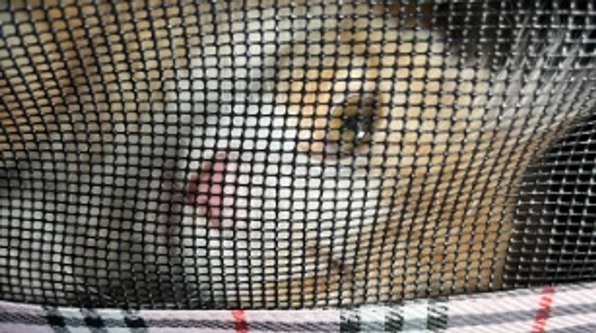 投薬39日目の様子