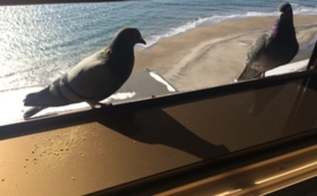 愛のお返しセット1