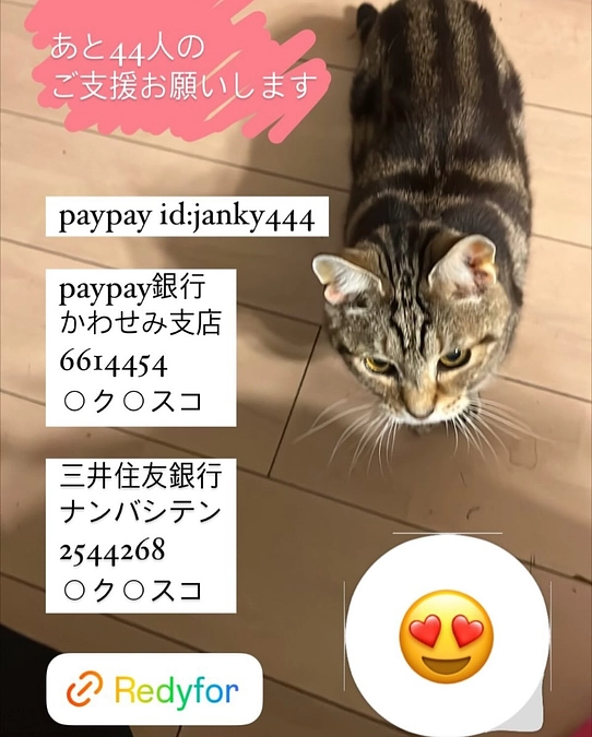 mocoちゃんとママのおしゃべり