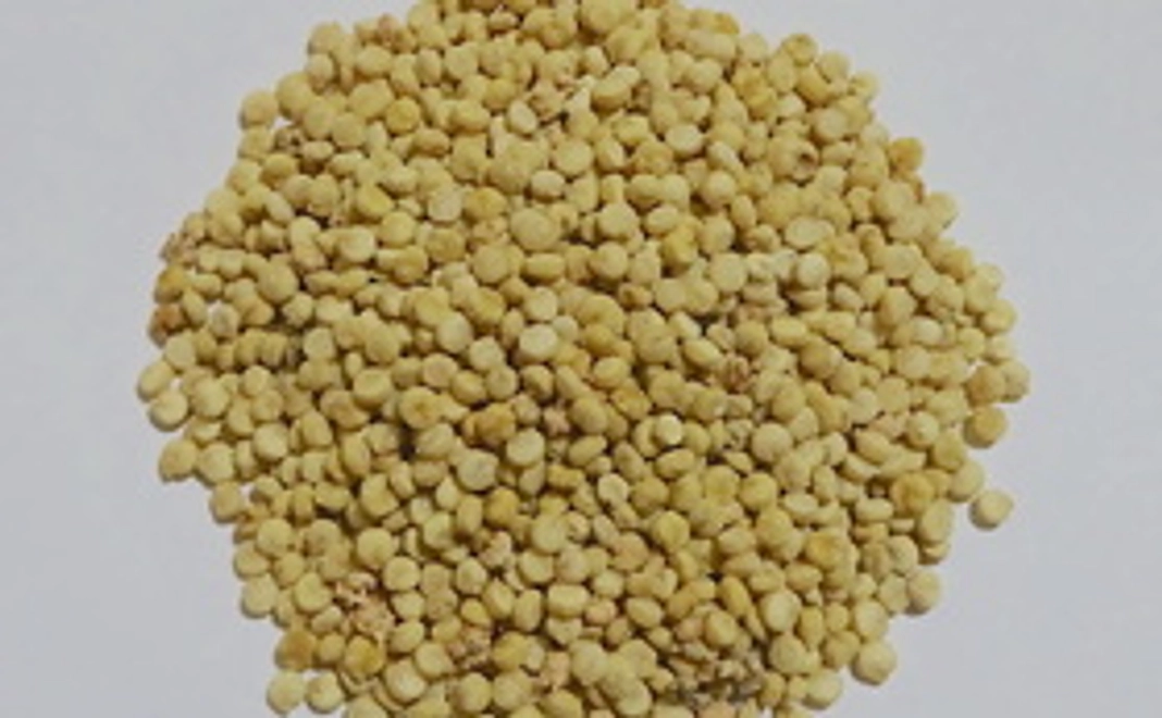 「キヌア栽培チャレンジセット」☆ 日本初！「キヌア栽培・オンライン講座 無料受講券」付き