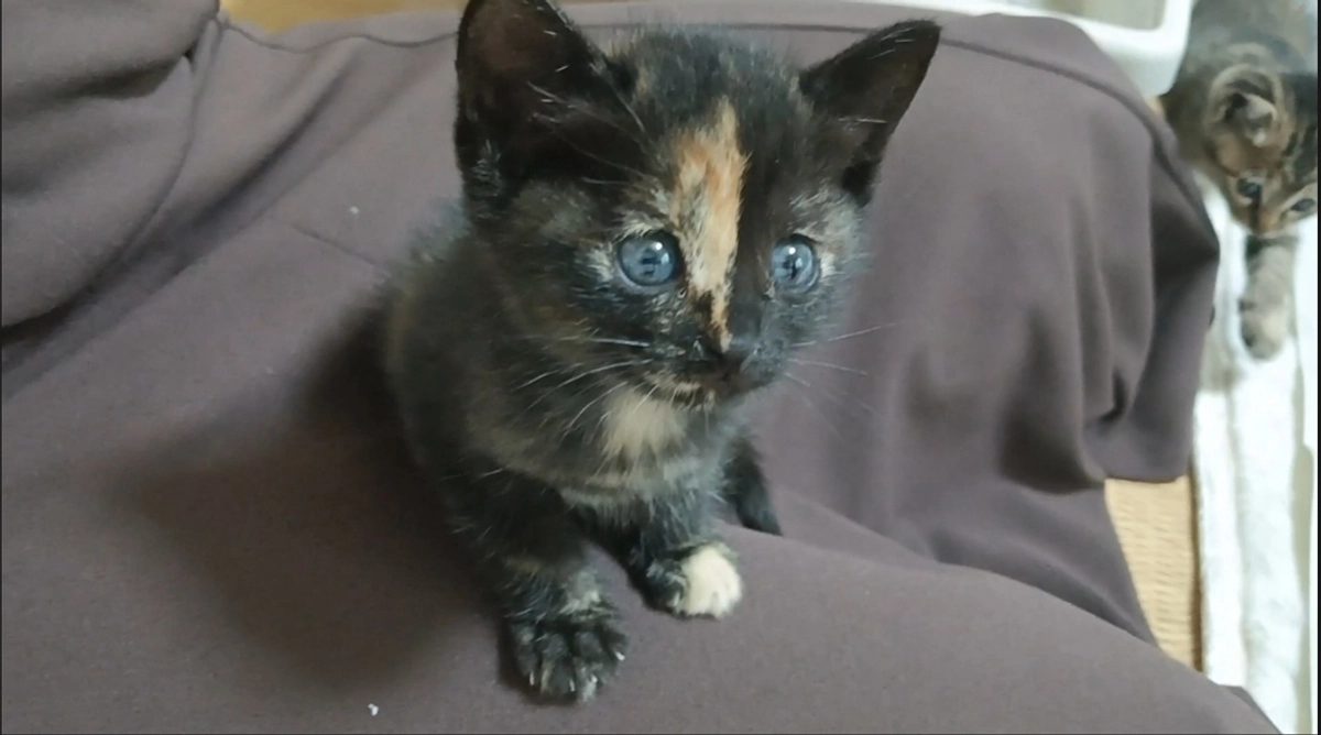 ご縁がありませんでした🥲