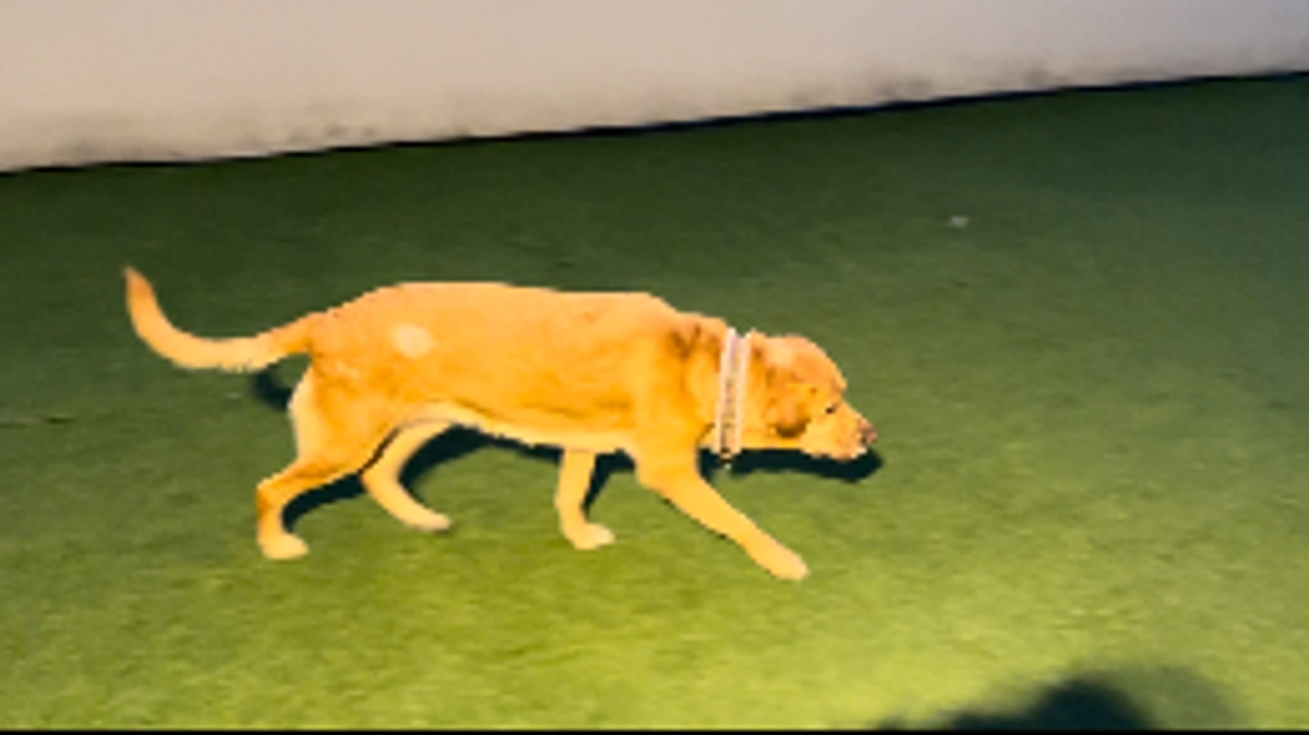 ちょっとごはん食べたよ！