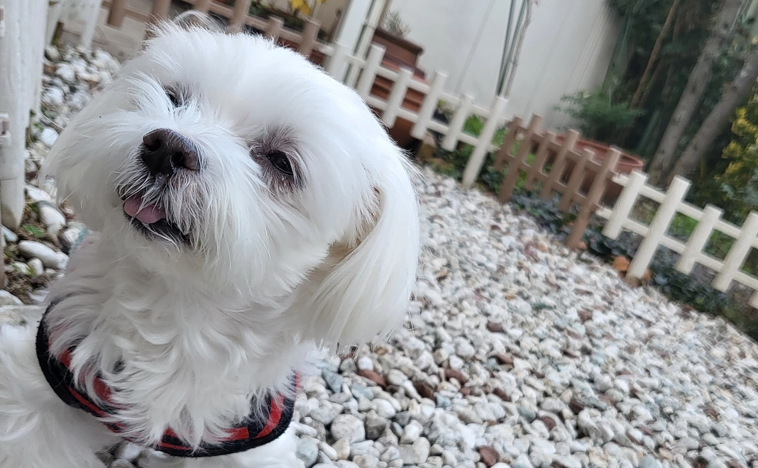 しずくへのご支援2