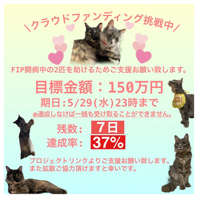 残り７日！！1週間となりました！