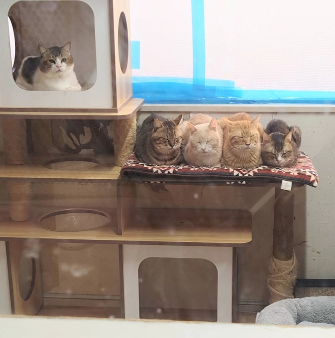 【幸町シェルタープロジェクト】リターンについてのお知らせ。