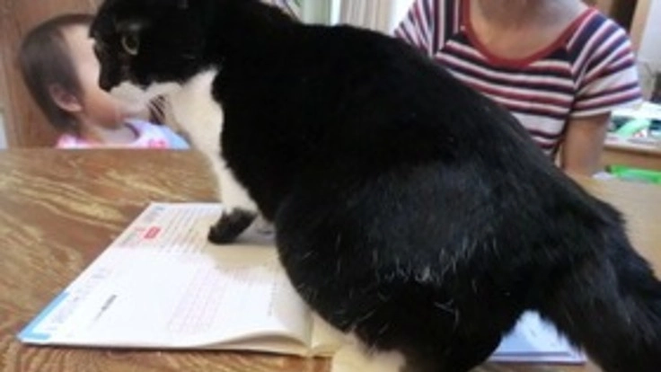 親子指導で合格へ・第7期シングルマザー看護受験プロジェクト2021