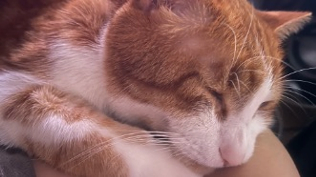 目標達成することができました！