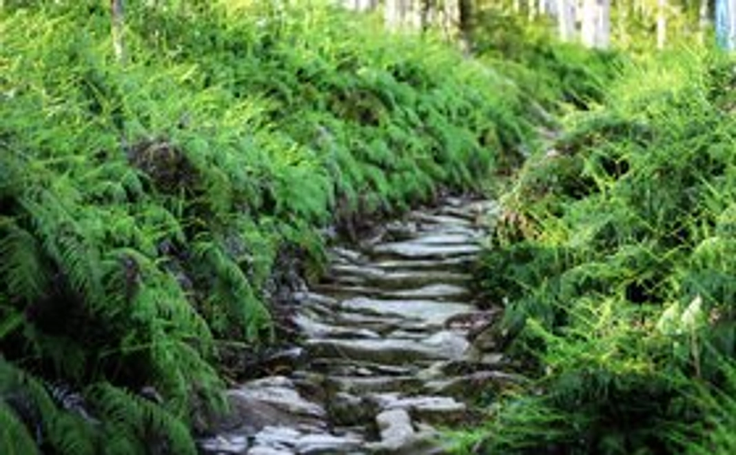 撮影した写真で作成したポストカードを送ります