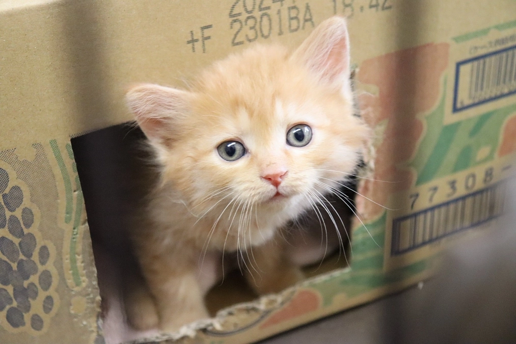 活動報告【2023・7月】