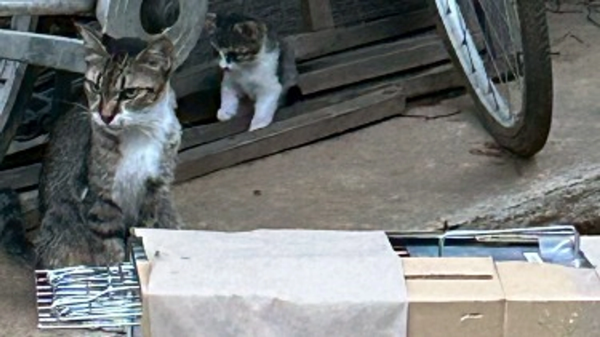 🌿 会員限定活動報告～ＴＮＲの現場から～