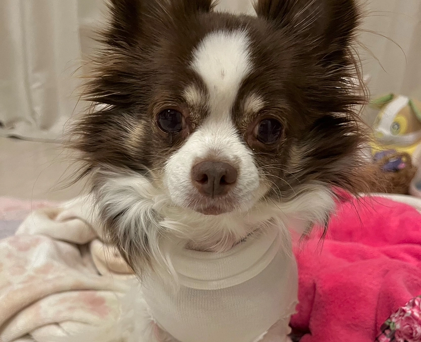 2023.12.10 退院致しました✨