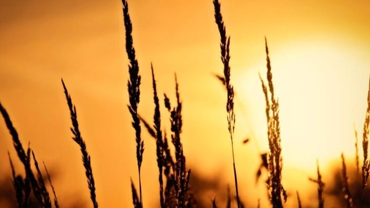 運送会社設立のご協力お願い