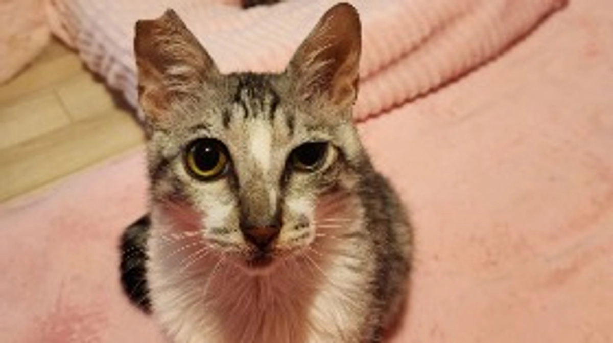 【70%突破】残り23日よろしくお願いします！