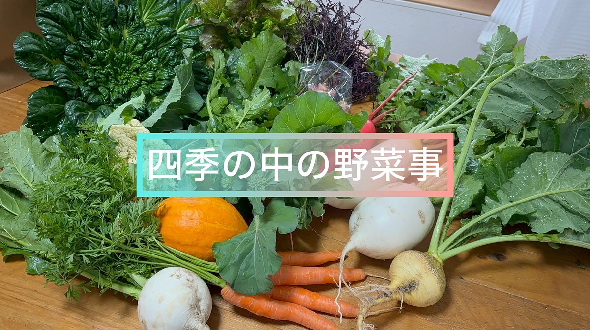 やまと屋農園小話 『四季の中での野菜事』