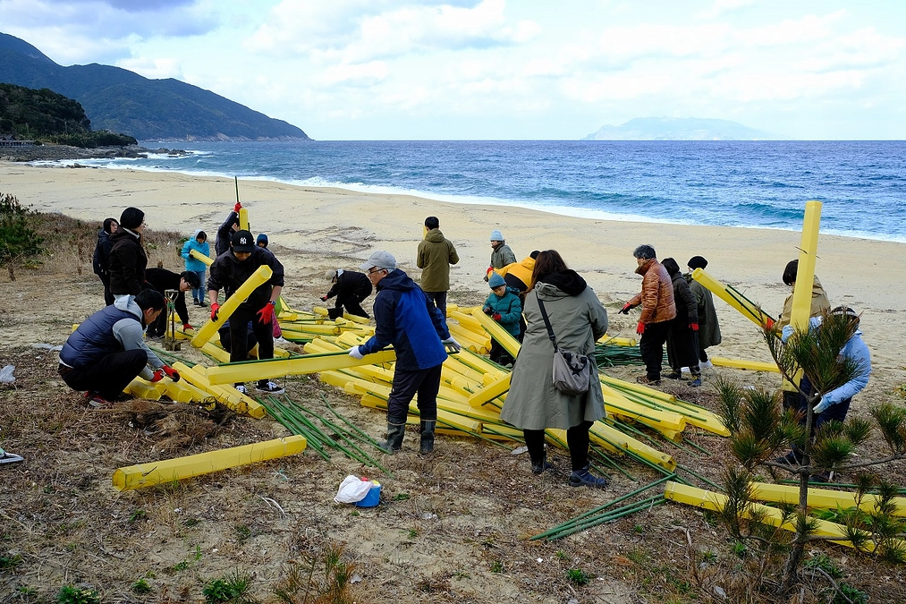 ウミガメの未来を守る植樹活動を行いました