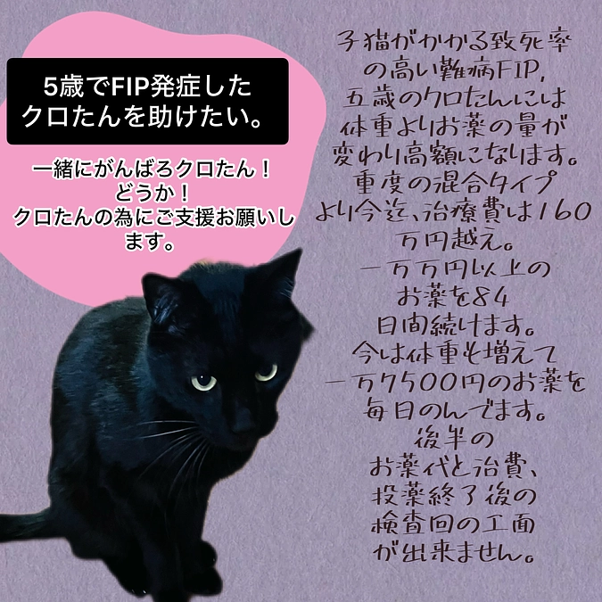 カウントダウン