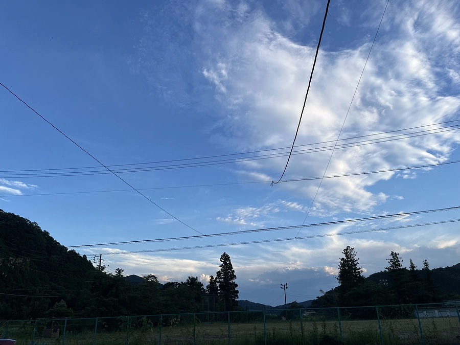 親孝行か猫孝行か？