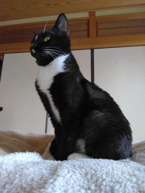 2/18はなちゃんの様子