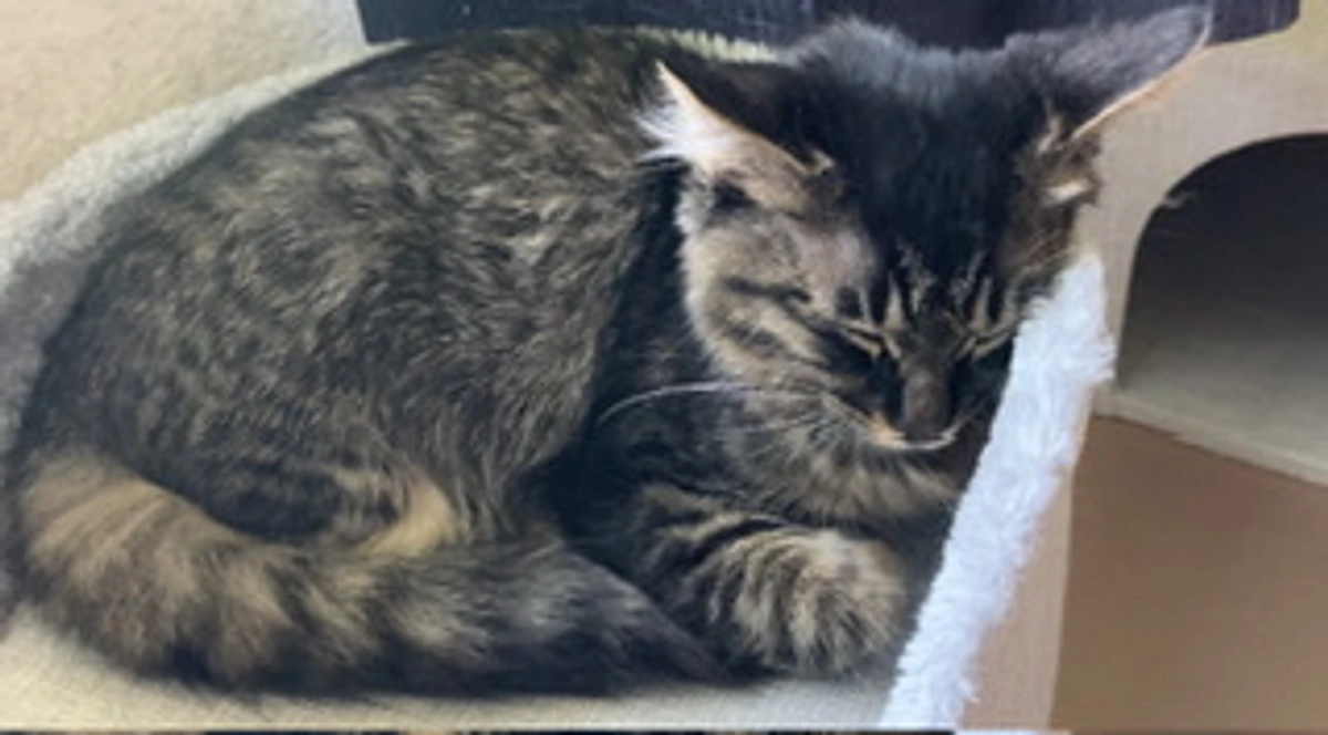 病気に負けるな