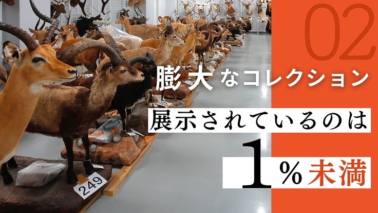 国立科学博物館マンスリーサポーター|地球の宝を守りつづける 3枚目