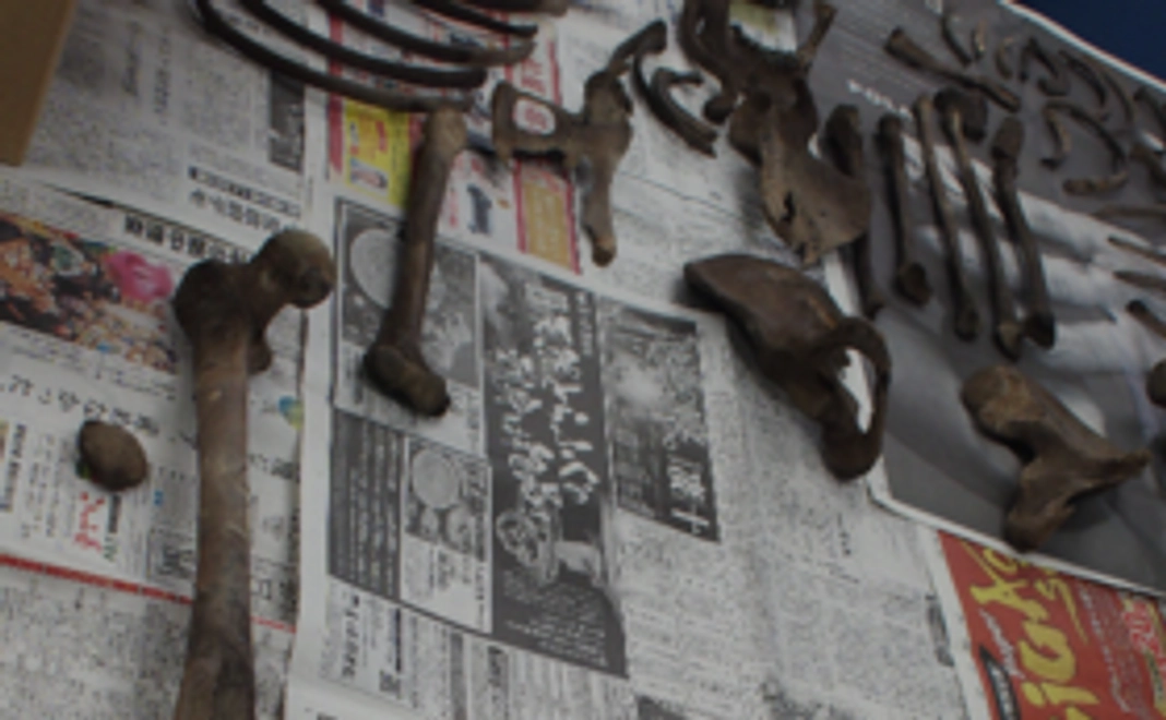 今回の調査の成果報告書を送りします