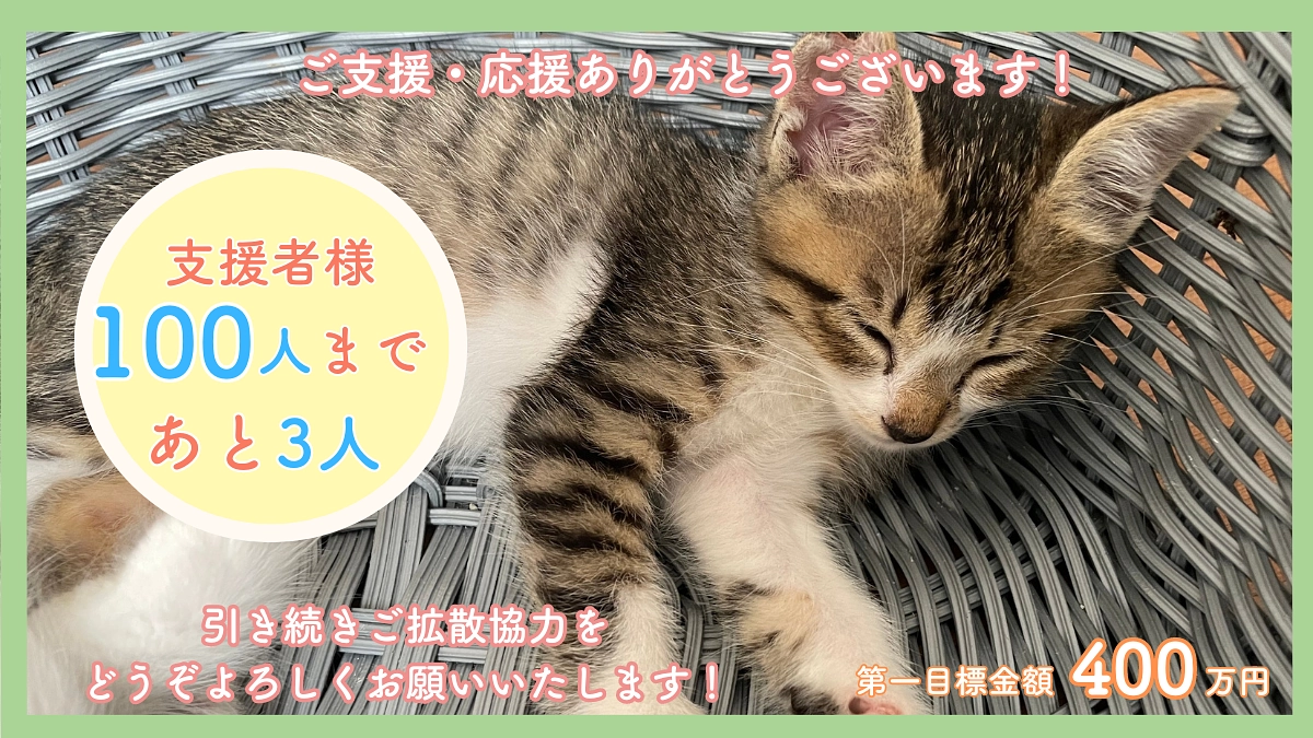 【支援者様人数100人まであと3人！】いただいた応援コメントのご紹介〜毎日励みになっています！〜