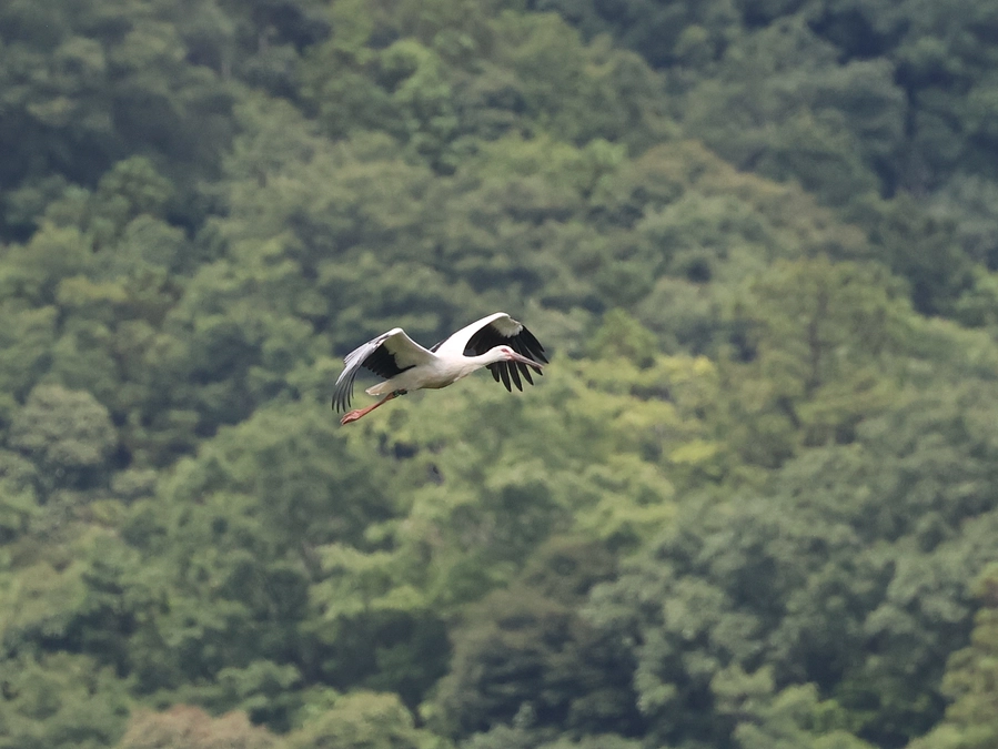 残り3日となりました！