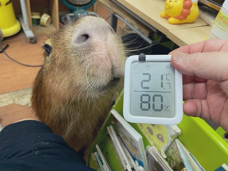 We appreciate y'all thank you so much !