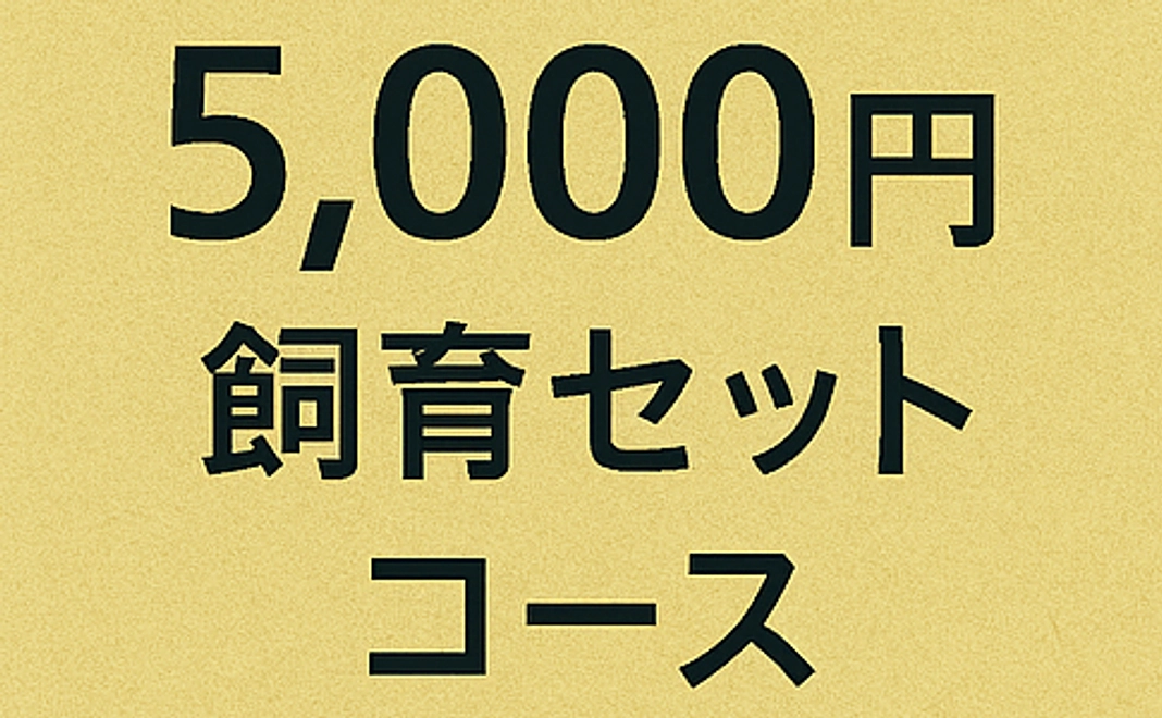 カブトムシ・クワガタ飼育入門コース