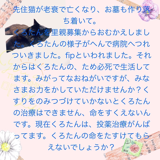 クロたんを助けて🆘🆘