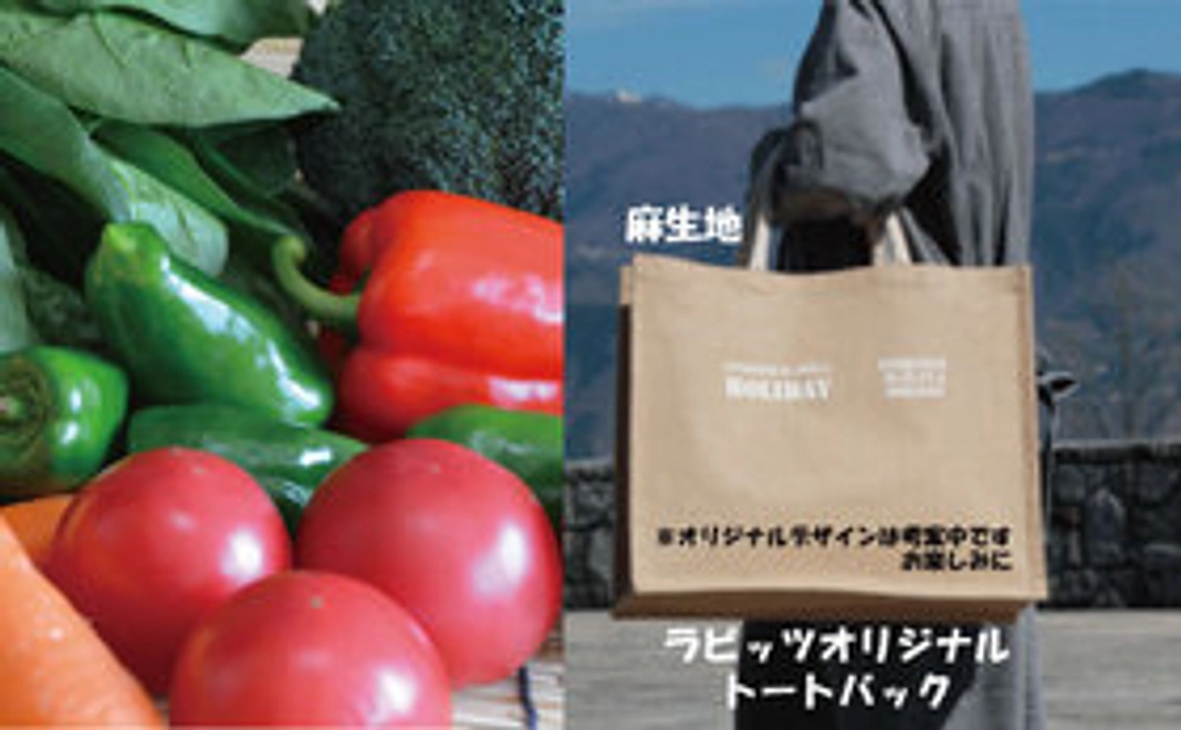感謝の農薬不使用栽培野菜セット Sサイズ + 感謝のオリジナルトートバッグ１点 + 感謝のお礼状