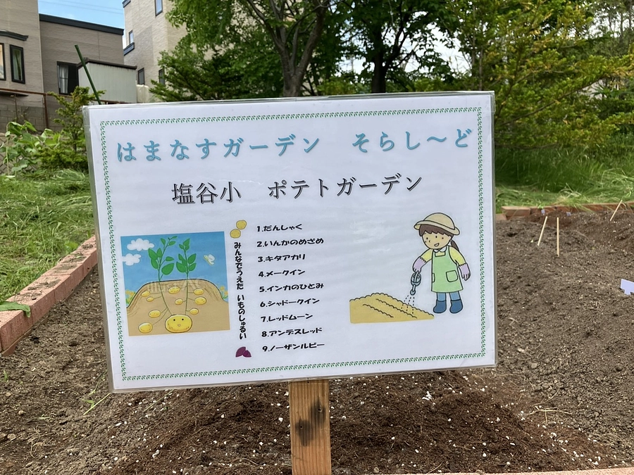 苗植え始まる！