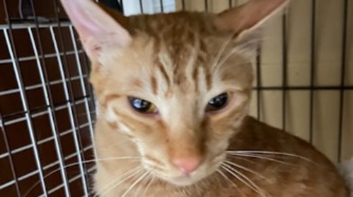 断薬後初の検査に行ってきました。