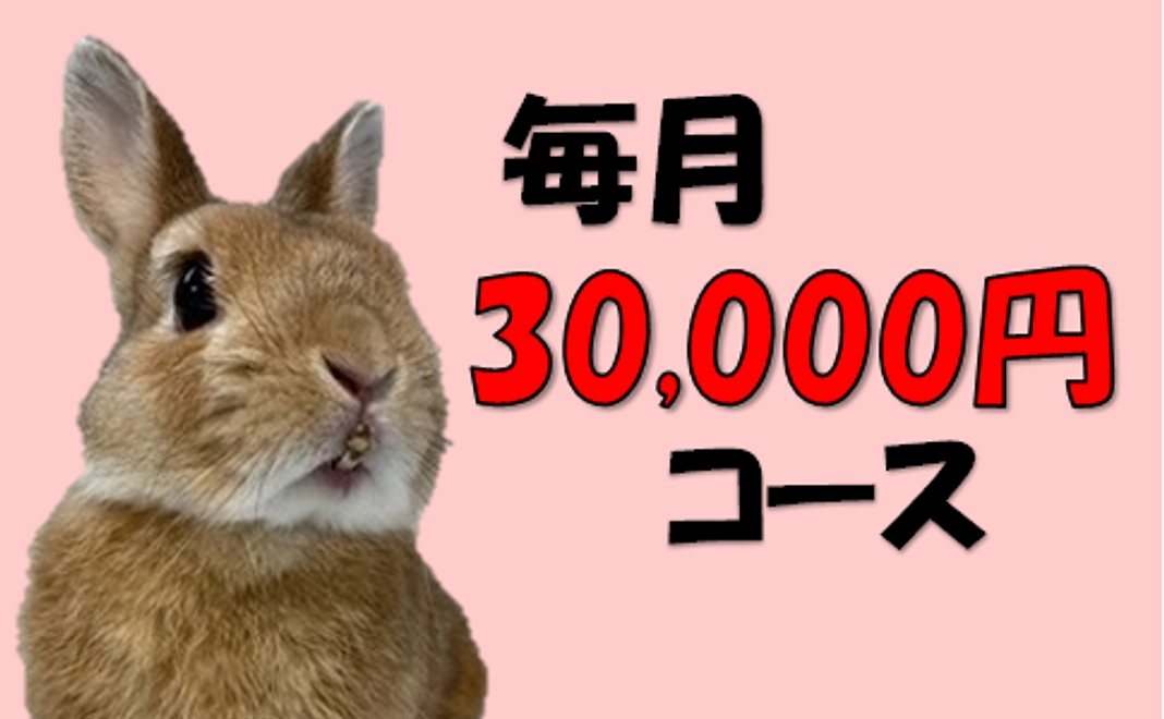 30,000円コース