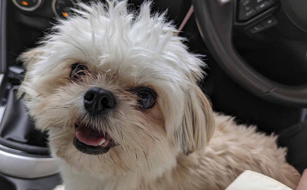 ぽんず元気になってね2