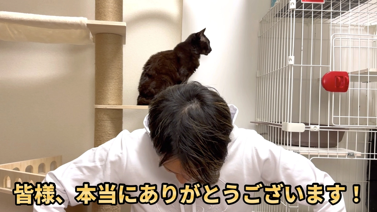 皆様、ありがとうございます🙇‍♂️